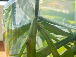 69563549-1756-44ee-af2c-64970d4d556f