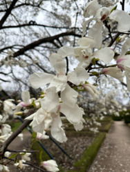 f9dbc801-ee26-45a3-a4ee-c2a41cb978e8