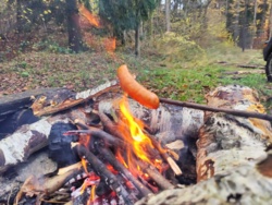 9fec909c-f67c-43ed-a944-658f6c5d8086