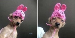 14ee6747-cdb6-43b1-9c3d-d95e27d0780c