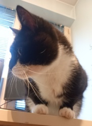 fc18c627-8e13-49e4-9621-8905fce55354