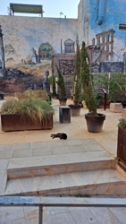 809f9700-c47e-424e-9994-b78d663a5b4f