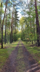 8201c476-5070-43b7-a487-1ec48e26fb3f