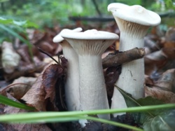 48eb8cc3-6f1b-4f6b-93c2-690ff2cad66c