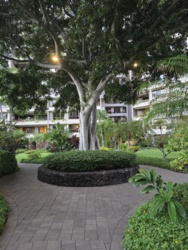 ba3e8849-d25d-4e48-926c-b8bb6a7fbe38