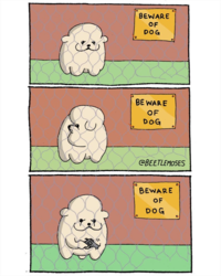 a5d8ce24-a4fb-4a91-b48e-883f51e4a3dd