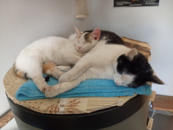 164c2c94-e543-4e29-9324-0480f3ad0584