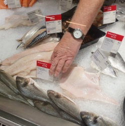 33c77d4a-018b-4ce0-8b8e-b89bd0d9958b