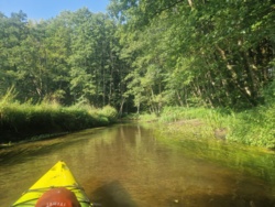 58760c1d-d82b-4614-8512-e9565168cc81