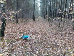 2b461fe2-df7d-4781-80b9-3eb1869dac4c