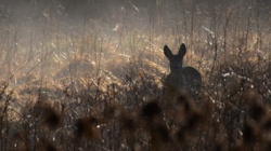 22c02a64-f6b7-4177-abde-02afab93fc8e