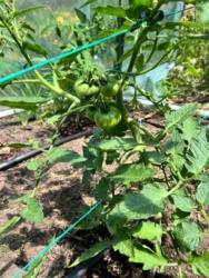 979bac72-65a4-4db4-bce2-9a053defe642