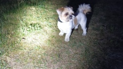 2c947689-b603-43f5-bbaf-7ff4fae219ac