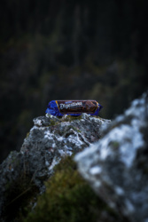 d43540f5-d445-4f3f-b3e3-99e048eebb40