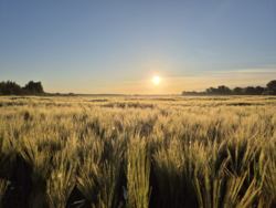 a2f2394a-da57-4db0-8dad-76a366d8e839