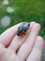 079df299-8bf0-431a-b75c-665aa975f68c