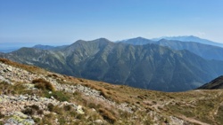 2485e465-9c9e-4d5a-9eec-1f83d8ad4ec3