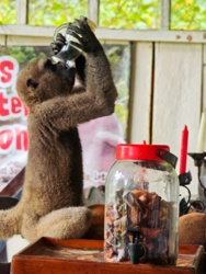 0881b280-35d5-4ee1-b796-adc0f6ac6b4f