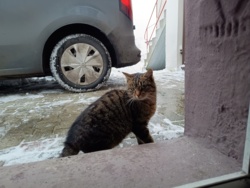 f33740fc-f53c-4be6-ada9-72cb732d0228