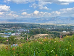 efc2bd00-d21a-4391-98ac-298b1e893df0