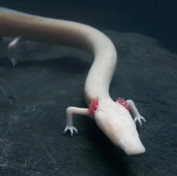 99ae617b-2b00-4ab0-8f0b-b0ad0b8fe1bf