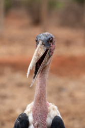 d3e7f131-4c93-457e-8599-16163be02724