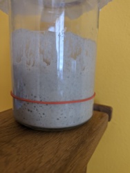 d5628582-048b-41bf-96c7-cbd85a4bd15c