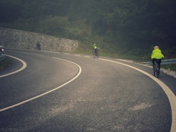 c65688e1-66e8-4baf-95e0-0531ca973ddc