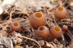 12b51f88-3a3b-4c0d-a117-467b30bc3664