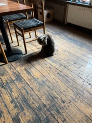 b4473e17-a96e-4d04-9be5-7e4ab99f4827