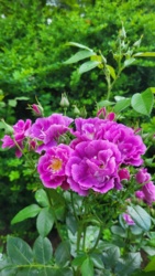 9a8c91c8-83ce-497e-933e-0a172191a0fc