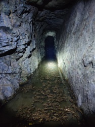 c31fe88f-3c8d-48d8-8074-091fd3a96962