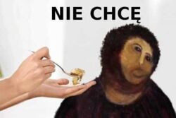 1ea1580c-482b-4050-83f4-c74e2bb9d868