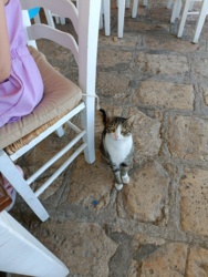 22b77013-d2c1-4d80-89f3-fca5b479d91b