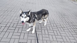 c2a6a1f0-ce0d-47ac-bdbc-26de1a1f6697