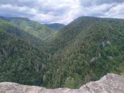 a430e46f-3d03-4acd-80e8-be53ad00fb8c