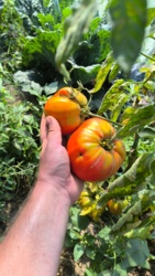 d103cf24-e110-4590-a01a-8f941f16570a