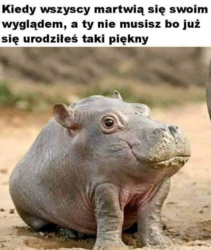 533dcd08-bd90-45c9-86dc-e32eac92be01