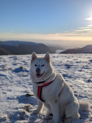 a037f487-f5ed-43a0-a748-178f5b634bbb