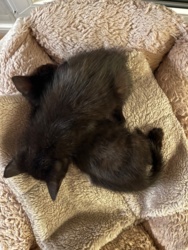 3f7df670-3834-4ce2-b34d-74dccea539f3