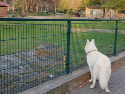 163d8747-45b6-4f07-b7a3-e5121c817c20