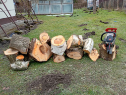 38289867-7cdd-4c47-8ccc-80563160b59e