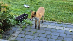 2da6c68e-8d0f-424f-84ec-63f24dce907b