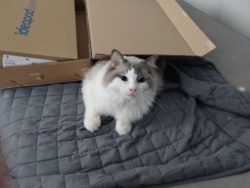 ccde14cb-534a-46a4-948a-1ec47de53417