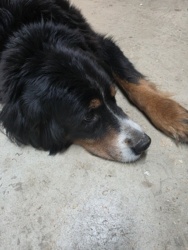 2cac4f8d-bd66-4df3-b97b-40cb8fdccb68