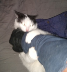 cf211e09-32bc-471f-bc1b-87bb0347b1b9