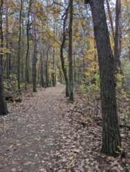 a46fca87-5575-4566-adc5-c0cf295818f2