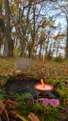 c92770c6-f4b5-4727-8ecd-93e5d60a3d3d