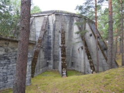 8eb86bd9-4b3d-4571-9ff2-2c3213cd6a91