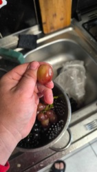 6392bb19-8234-4fba-9ee0-8fb71e907965